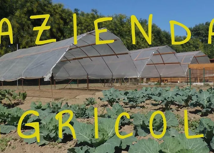 Corte Agricola Monro Feriegård